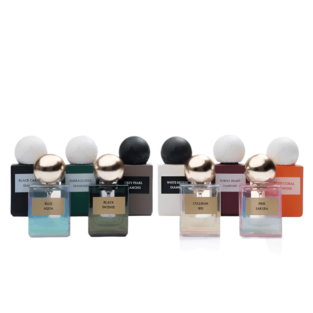 Discovery Collection Black 10Pcs 10Ml Perfumes